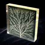 Lichtenberg_figure_in_block_of_Plexiglas